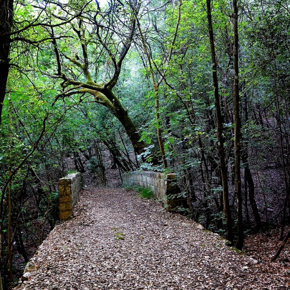 Eli! @RenegadeRevivalVintage & @LightlySaucedRetro - Picture 11 of 12